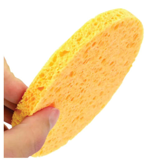 Facial Sponge